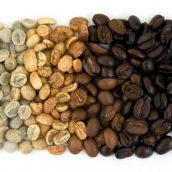 Spanish Peaks Coffee – Wholesale Distribution for Coffee Shops. At